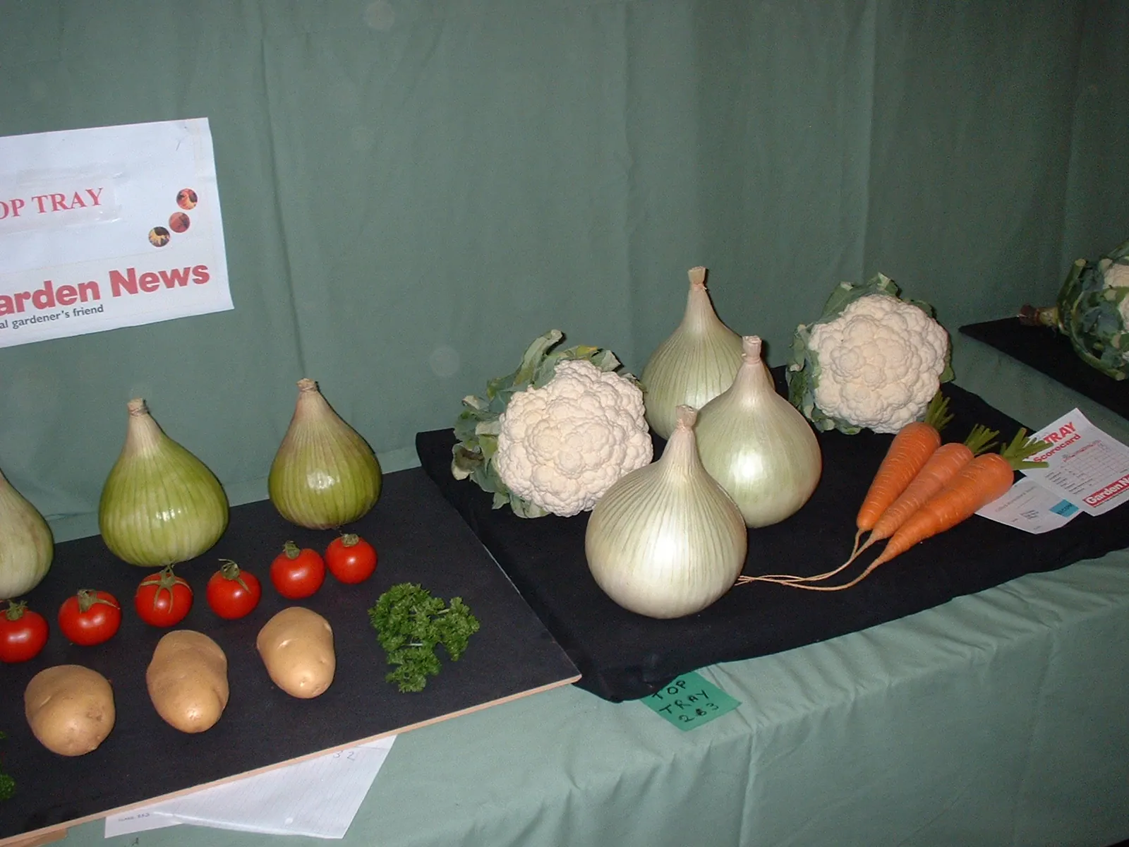 Gifford flower show 03